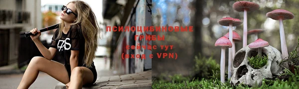 ешки Беломорск