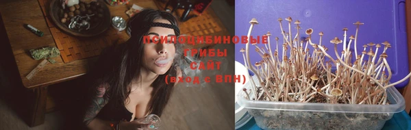 спиды Белоозёрский