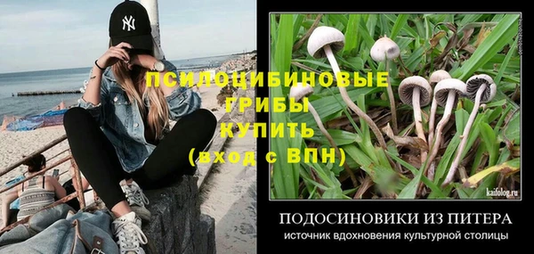 каннабис Белокуриха