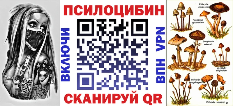 omg вход  Курчалой  Псилоцибиновые грибы прущие грибы 